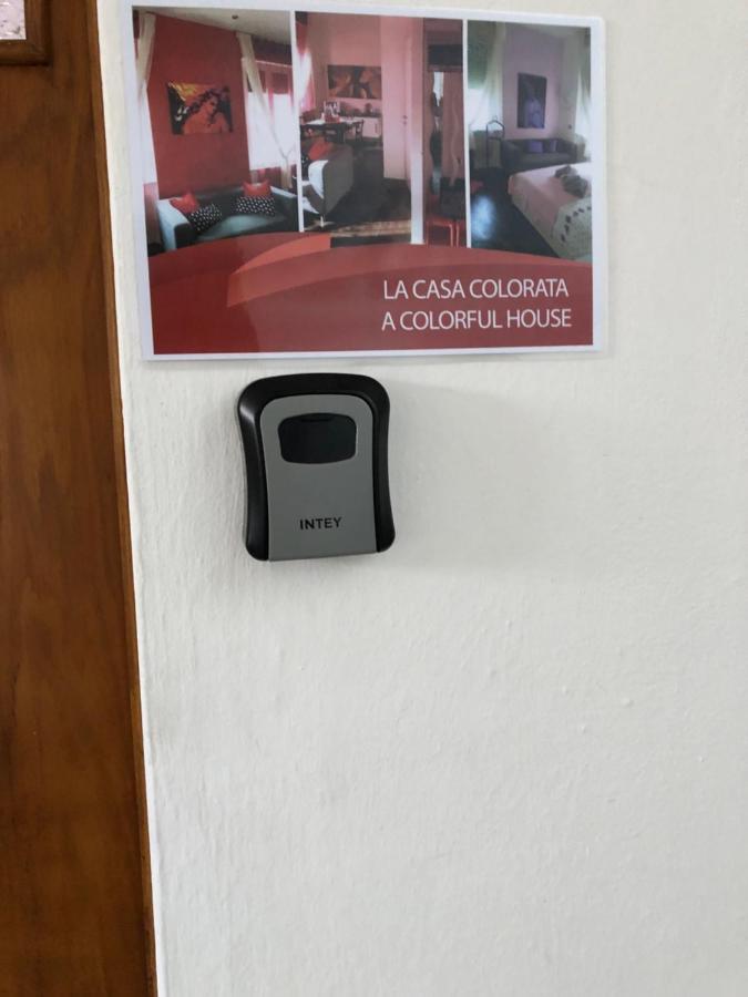 比萨La Casa Colorata公寓 外观 照片