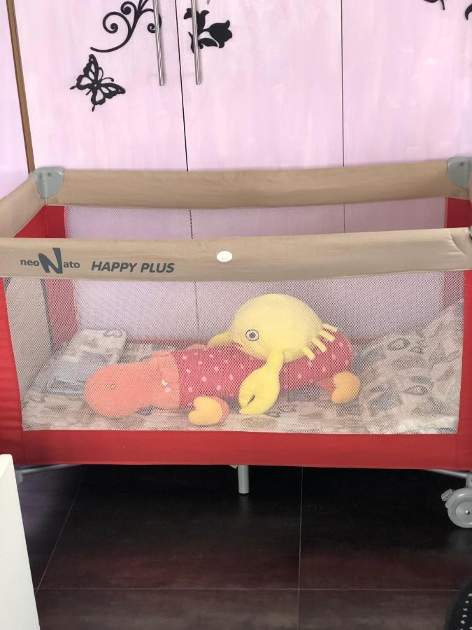 比萨La Casa Colorata公寓 外观 照片